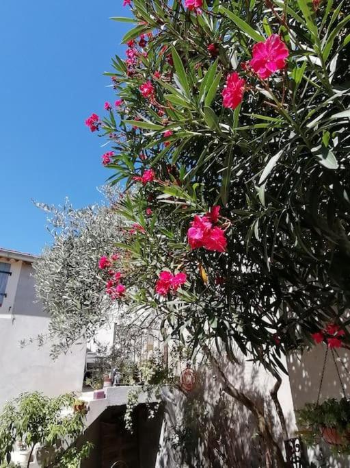 La Chamade Maison De Village Climatisee Lapalud エクステリア 写真